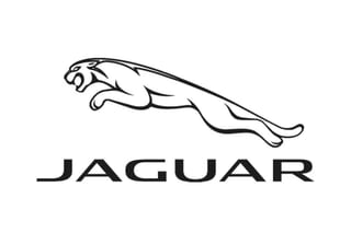 Jaguar Jaguar